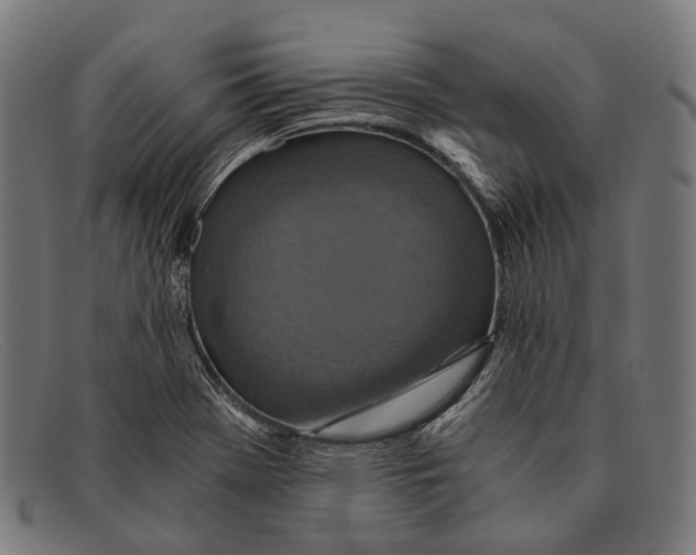 X0000091481369200709131803