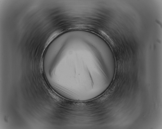 X0000091481370200709131803