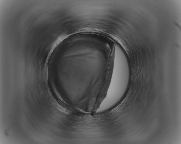 X0000091481371200709131803