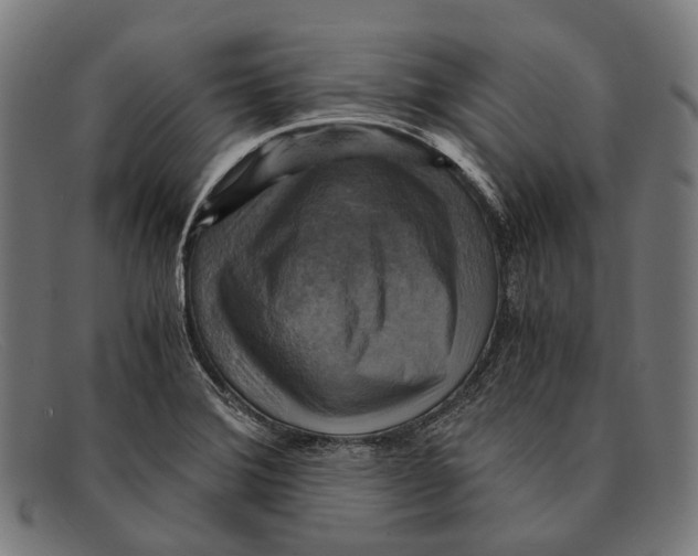 X0000091481372200709131803