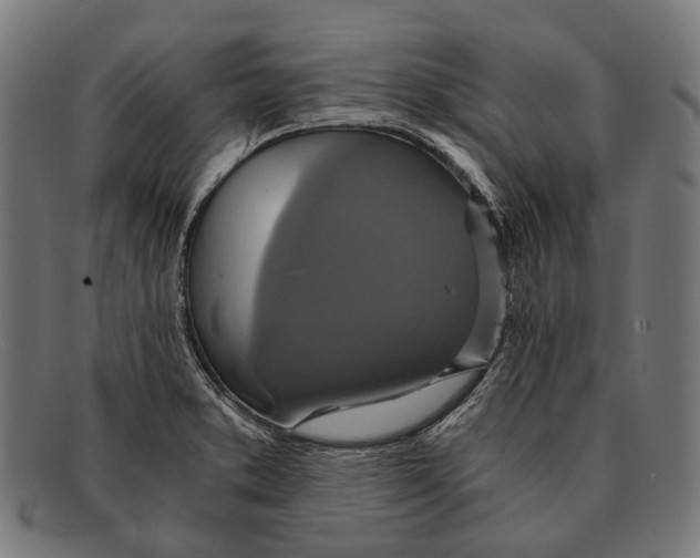 X0000091481373200709131803