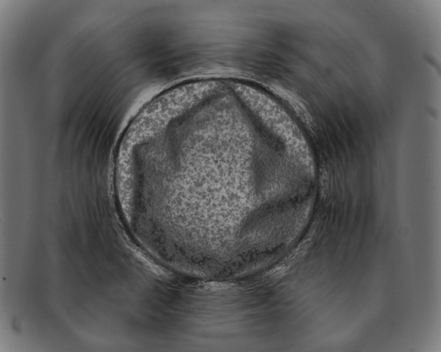 X0000091481374200709131803