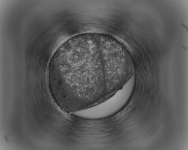 X0000091481375200709131803