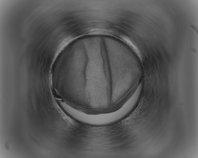 X0000091481376200709131803