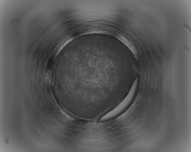 X0000091481377200709131803