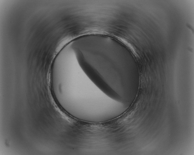 X0000091481383200709131803