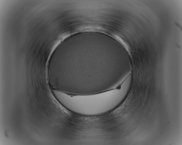 X0000091481384200709131803