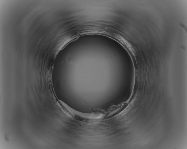 X0000091481385200709131803