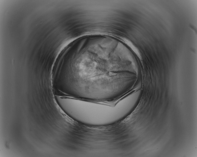 X0000091481388200709131803