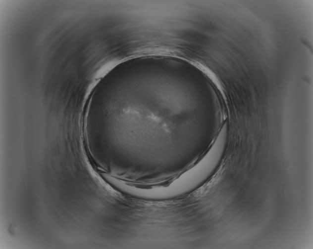 X0000091481389200709131803