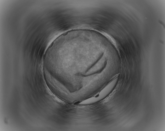 X0000091481390200709131803