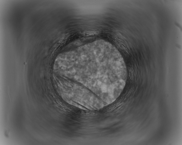 X0000091481393200709131802