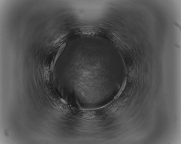 X0000091481394200709131802