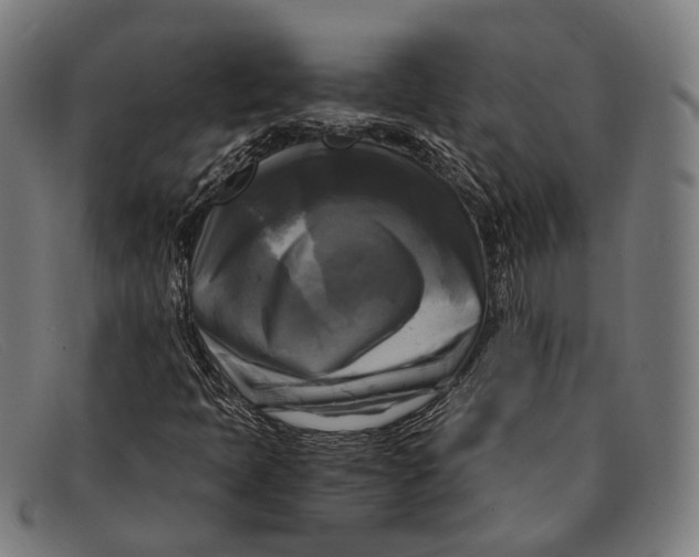 X0000091481397200709131802