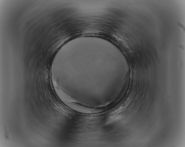 X0000091481401200709131803