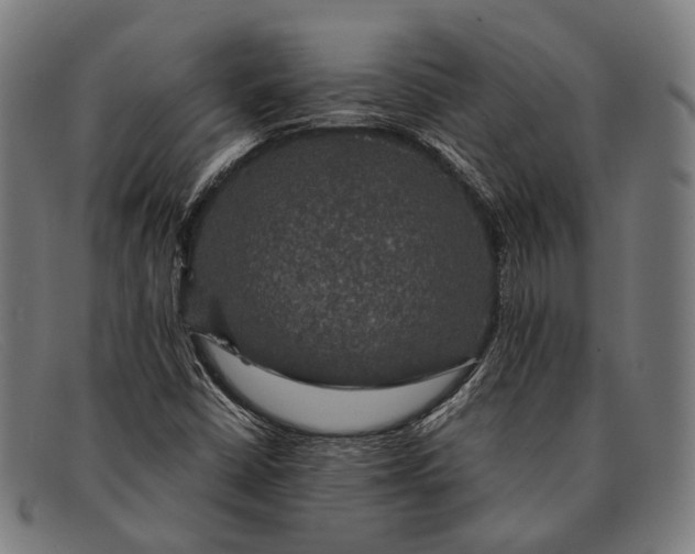 X0000091481402200709131803