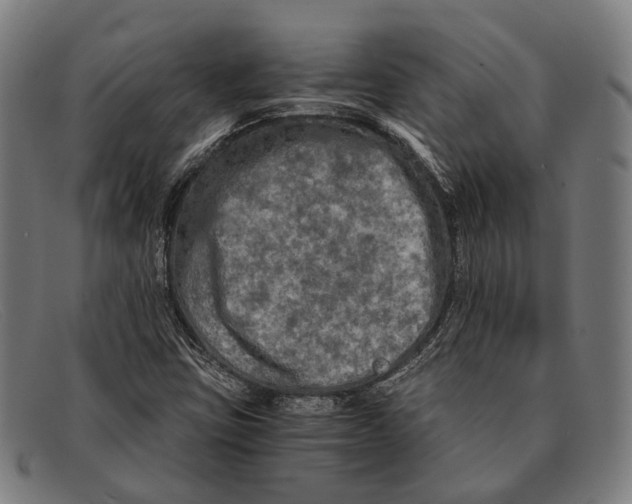 X0000091481403200709131803