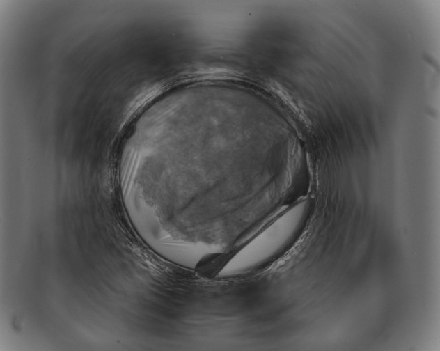 X0000091481405200709131803