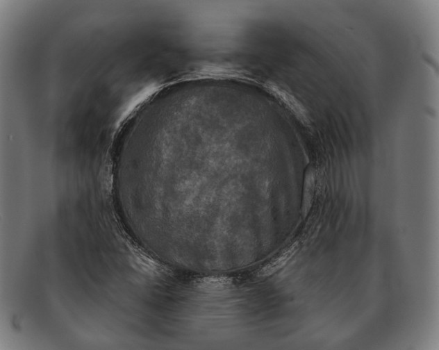 X0000091481406200709131803