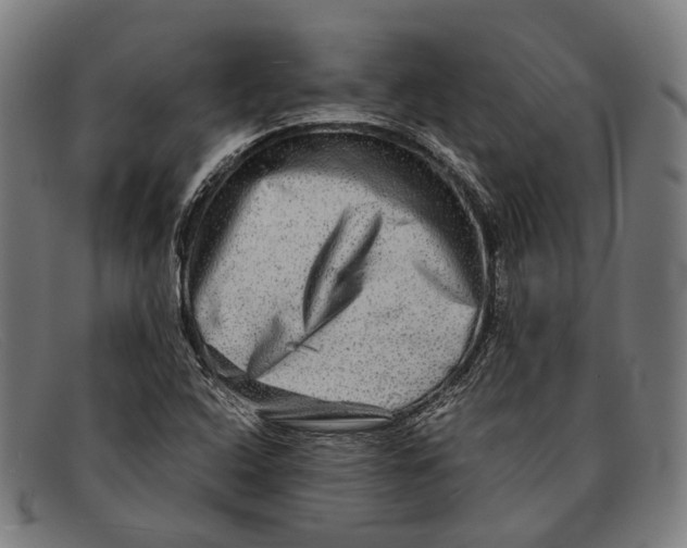 X0000091481408200709131803