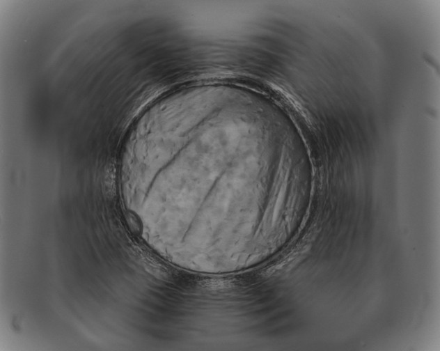 X0000091481409200709131803