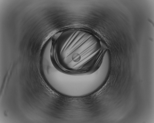 X0000091481410200709131803