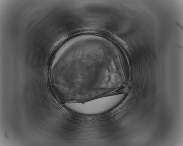 X0000091481411200709131803