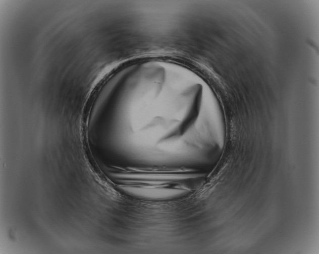 X0000091481412200709131803