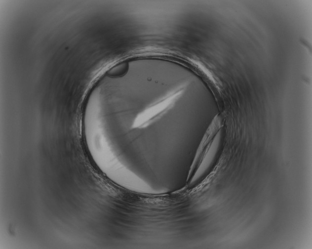 X0000091481413200709131803