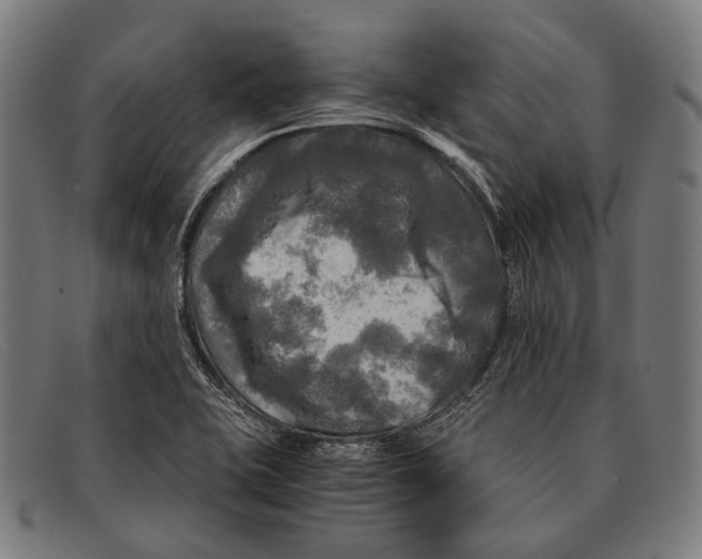 X0000091481415200709131803