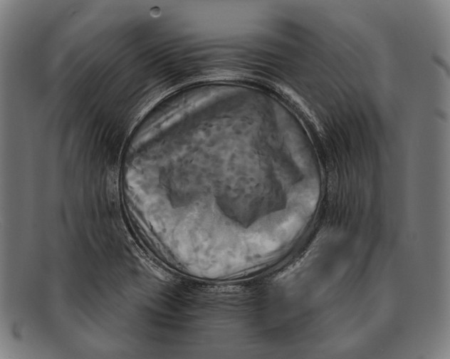 X0000091481417200709131803