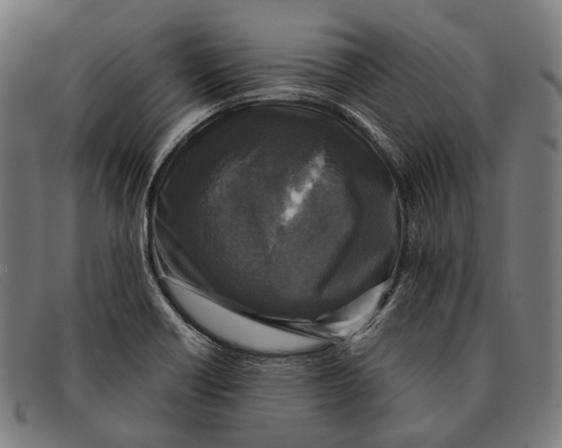 X0000091481418200709131803