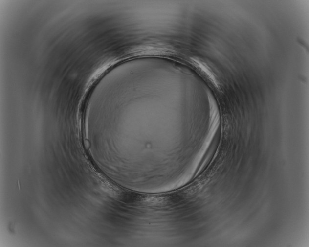 X0000091481419200709131803