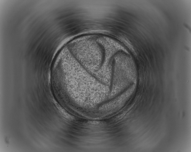 X0000091481420200709131803