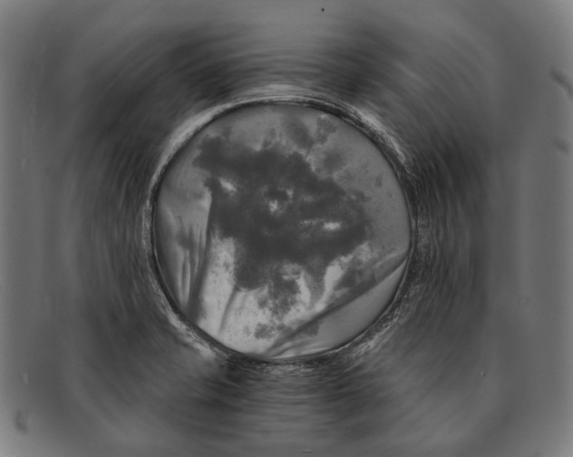 X0000091481421200709131803