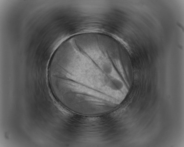 X0000091481423200709131803