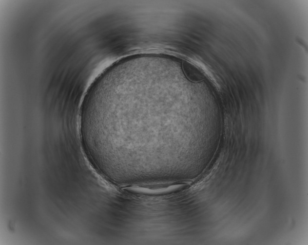 X0000091481424200709131803