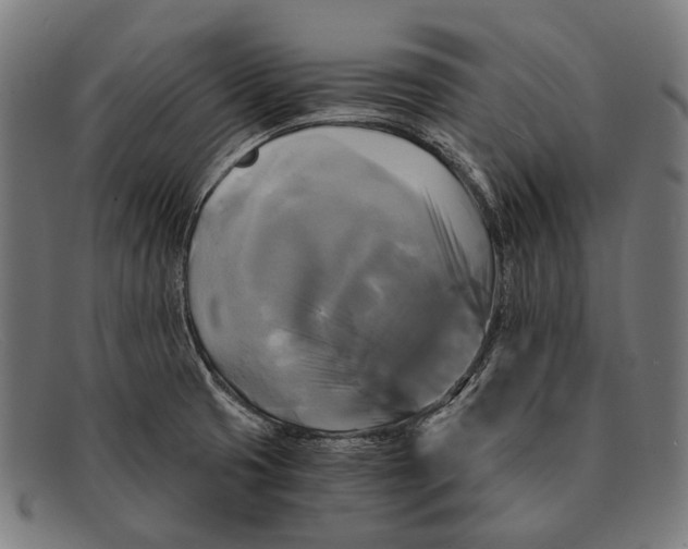 X0000091481425200709131803