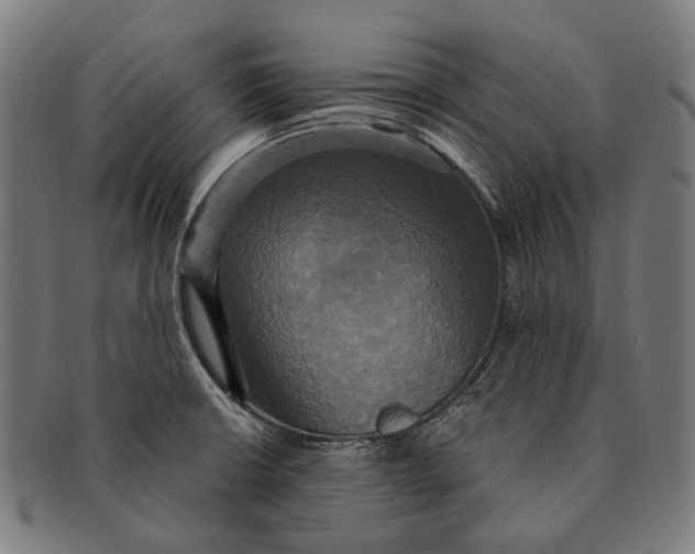 X0000091481426200709131803