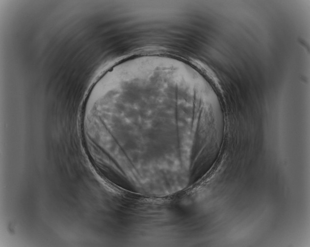 X0000091481429200709131803