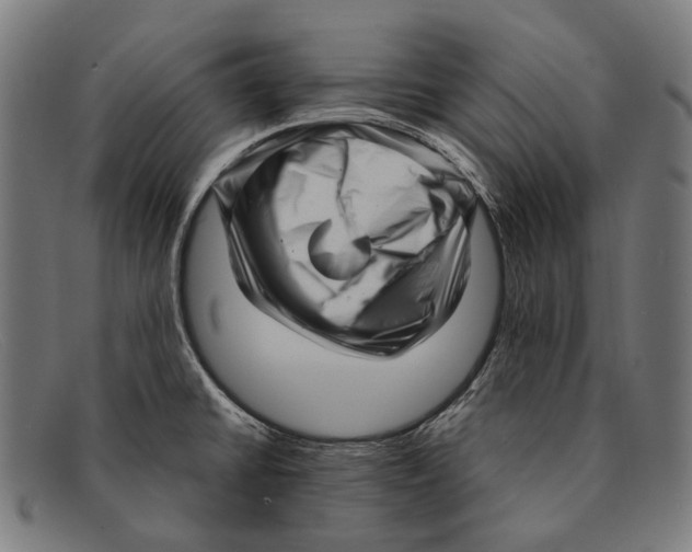 X0000091481430200709131803