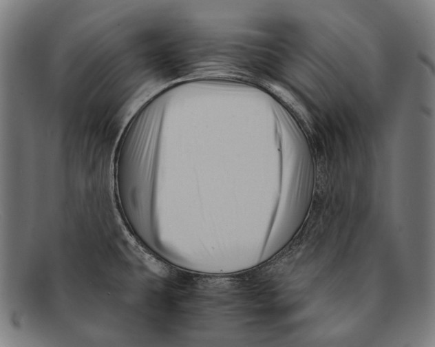 X0000091481431200709131803