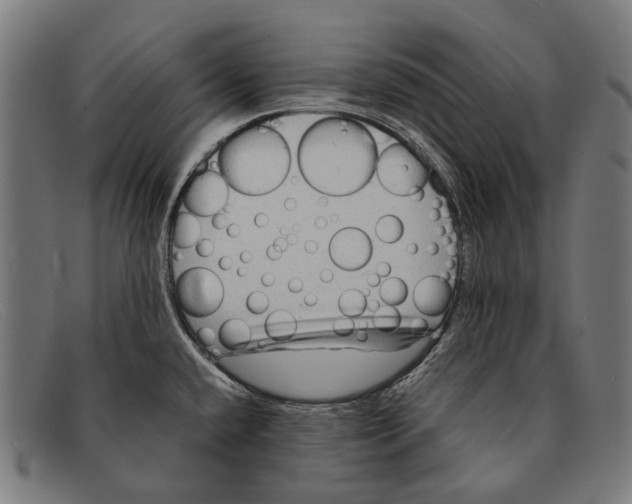 X0000091481432200709131803