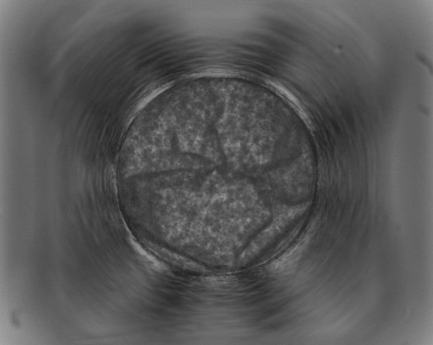 X0000091481433200709131803