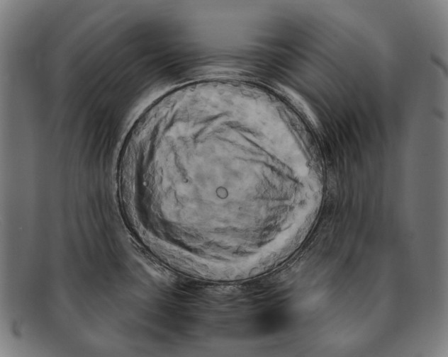 X0000091481435200709131803