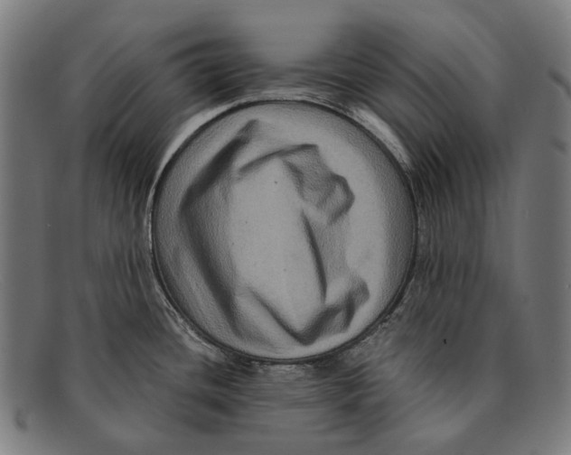 X0000091481436200709131803