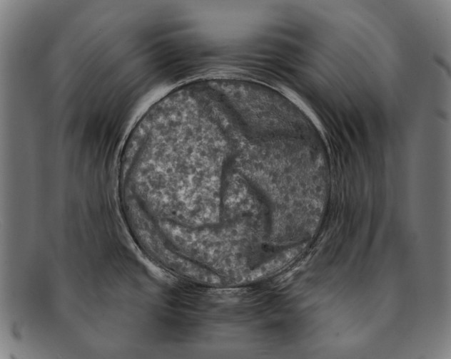 X0000091481437200709131803