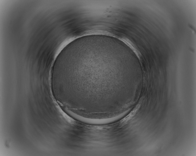 X0000091481438200709131803