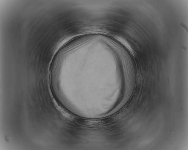 X0000091481439200709131803