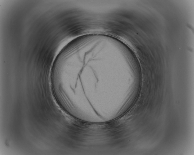 X0000091481440200709131803